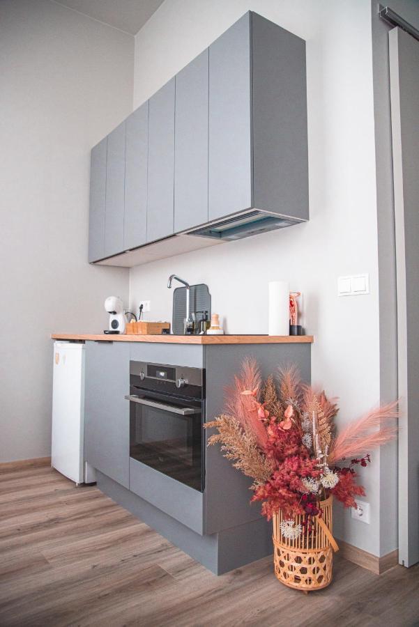 Апартаменты Cozy Studio By The City Centre Рейкьявик Экстерьер фото
